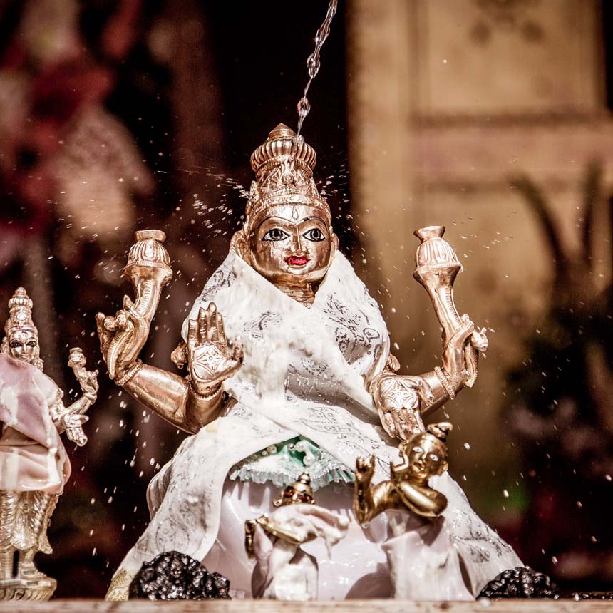 Curso de Puja Simple