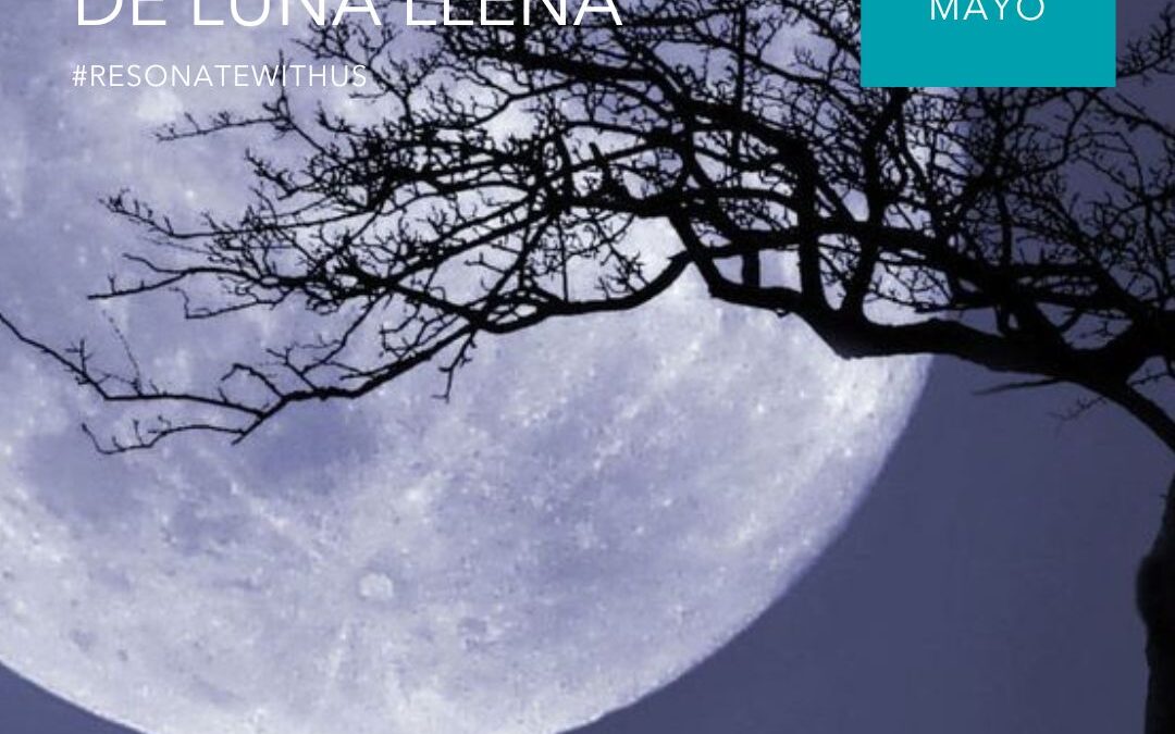OM CHANTING DE LUNA LLENA